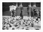 Pigeons in Trafalgar Square, London by Anonymous