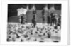 Pigeons in Trafalgar Square, London by Anonymous