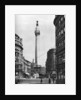The Monument to the Great Fire, London by McLeish
