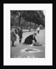 Pavement artist, Embankment, London by McLeish