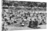 Sand pit, Bishop's Park, Fulham, London by Anonymous