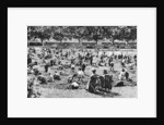 Sand pit, Bishop's Park, Fulham, London by Anonymous