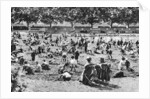 Sand pit, Bishop's Park, Fulham, London by Anonymous