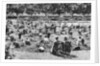 Sand pit, Bishop's Park, Fulham, London by Anonymous