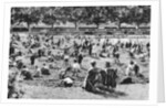 Sand pit, Bishop's Park, Fulham, London by Anonymous