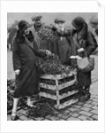 Women choosing bunches of mistletoe, Caledonian Market, London by Anonymous