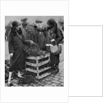 Women choosing bunches of mistletoe, Caledonian Market, London by Anonymous