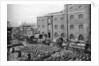 Barrels of molasses, West India Docks, London by Langfier Photo