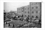 Barrels of molasses, West India Docks, London by Langfier Photo