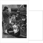 Flower sellers, Piccadilly Circus, London by Anonymous