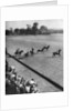 Final of the Ranelagh Open Cup, Ranelagh, London by Anonymous