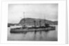 HMS Spartan off Norway by Queen Alexandra