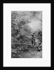 Kenyah men hunting for monkeys with blowpipes, Borneo by Dr Charles Hose