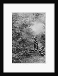 Kenyah men hunting for monkeys with blowpipes, Borneo by Dr Charles Hose