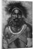 Captain of a company of cannibal fighting men, New Guinea by Anonymous