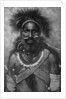 Captain of a company of cannibal fighting men, New Guinea by Anonymous