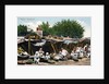 Market, Rawalpindi, India by Anonymous