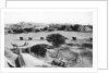 Cantonment, Mhow, Madhya Pradesh, India by Anonymous