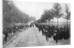 Belgians fleeing from Termonde, First World War by Anonymous