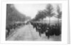 Belgians fleeing from Termonde, First World War by Anonymous