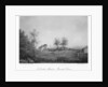 A cricket match on Bansted Downs, Surrey by Anonymous