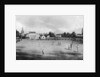 A cricket match in progress at Kennington Oval, London by Anonymous