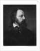 Alfred Tennyson, 1st Baron Tennyson (1809-1892), English poet by Berlin Photographic Co