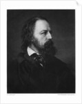 Alfred Tennyson, 1st Baron Tennyson (1809-1892), English poet by Berlin Photographic Co