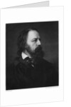 Alfred Tennyson, 1st Baron Tennyson (1809-1892), English poet by Berlin Photographic Co