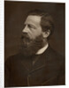Portrait of a bearded man by Anonymous