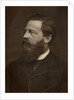 Portrait of a bearded man by Anonymous