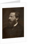 Portrait of a bearded man by Anonymous