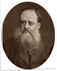 Portrait of an old man with a beard by Anonymous