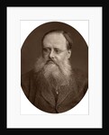 Portrait of an old man with a beard by Anonymous