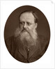 Portrait of an old man with a beard by Anonymous