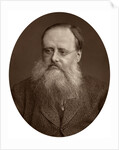 Portrait of an old man with a beard by Anonymous