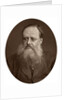 Portrait of an old man with a beard by Anonymous
