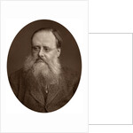 Portrait of an old man with a beard by Anonymous