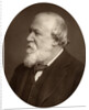 Portrait of a bearded man by Anonymous
