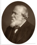Portrait of a bearded man by Anonymous