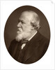 Portrait of a bearded man by Anonymous