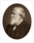 Portrait of a bearded man by Anonymous