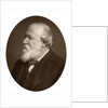 Portrait of a bearded man by Anonymous