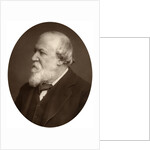 Portrait of a bearded man by Anonymous