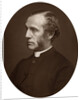 Portrait of a Reverend by Anonymous