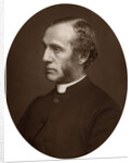 Portrait of a Reverend by Anonymous