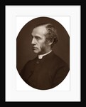 Portrait of a Reverend by Anonymous