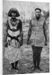 The ceremonial costume of war and everyday waist-cloth, Gilbert Islands by Thomas McMahon