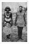 The ceremonial costume of war and everyday waist-cloth, Gilbert Islands by Thomas McMahon