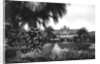View of Albert I Gardens and the Casino, Nice, South of France by Anonymous